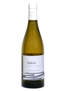 Biele víno Valdesil