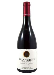 Červené víno Balancines Garnacha & Garnacha