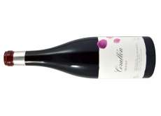 Červené víno Corullón