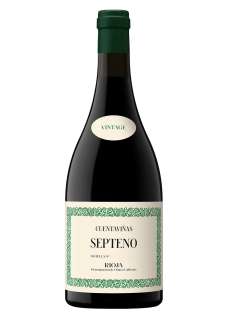 Červené víno Cuentaviñas Septeno