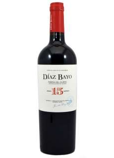 Červené víno Díaz Bayo 15 Meses