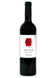 Červené víno Enate Merlot - Merlot