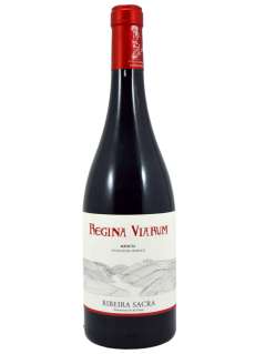Červené víno Regina Viarum Mencía 2024 - 3 Uds.