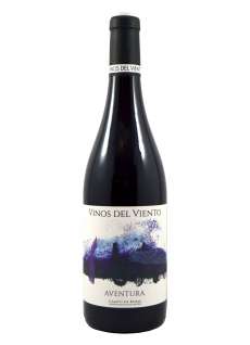 Červené víno Vinos del Viento - Aventura