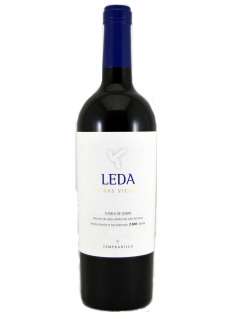 Leda Viñas Viejas